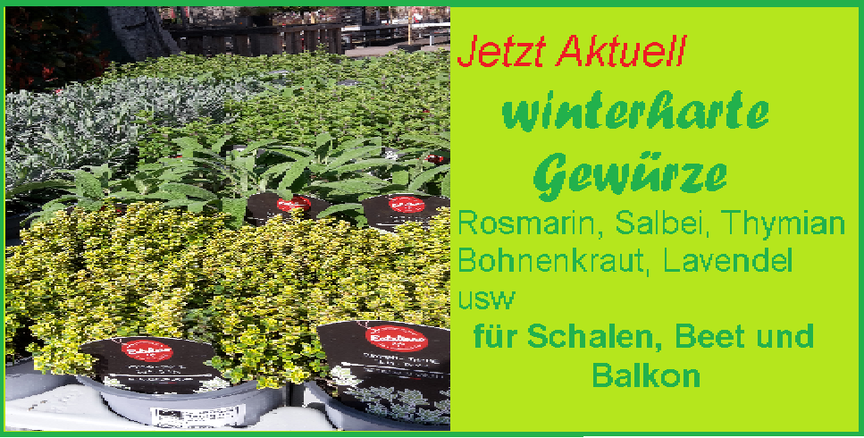 Aktuell